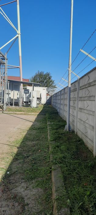 Curatenie gradini terenuri