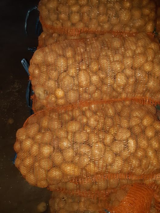 Vând cartofi pt animale