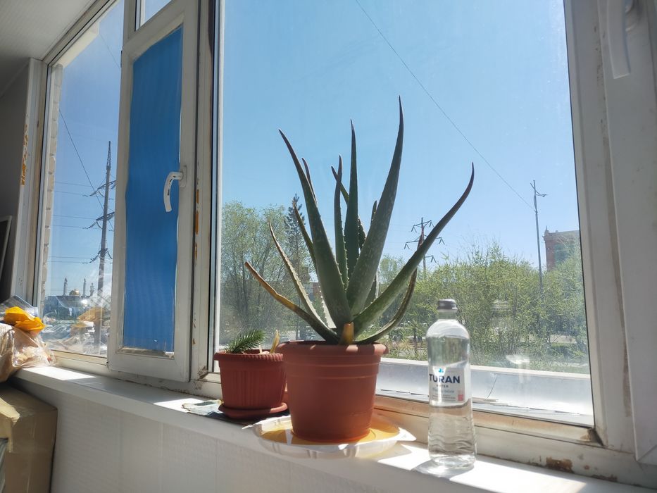 Продам 3х комнатную квартиру