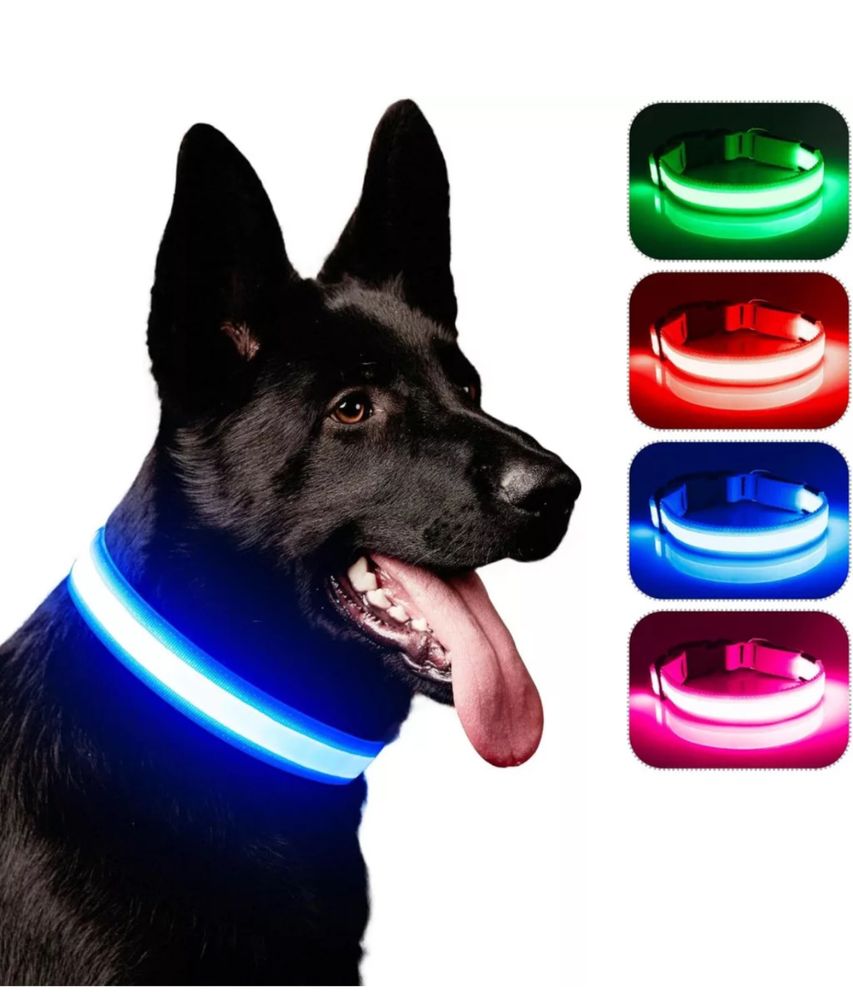 Zgarda caini, guler pentru caini cu Led, zgarda led usb