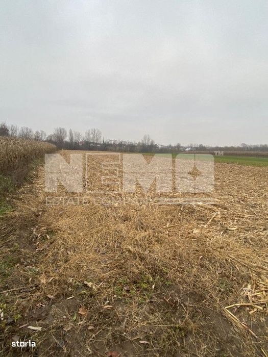 Teren Intravilan | Fratautii Noi | 64 Ari