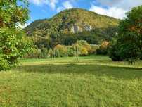 Teren de vanzare in Remeti, jud Bihor, suprafata 2.725 mp.
