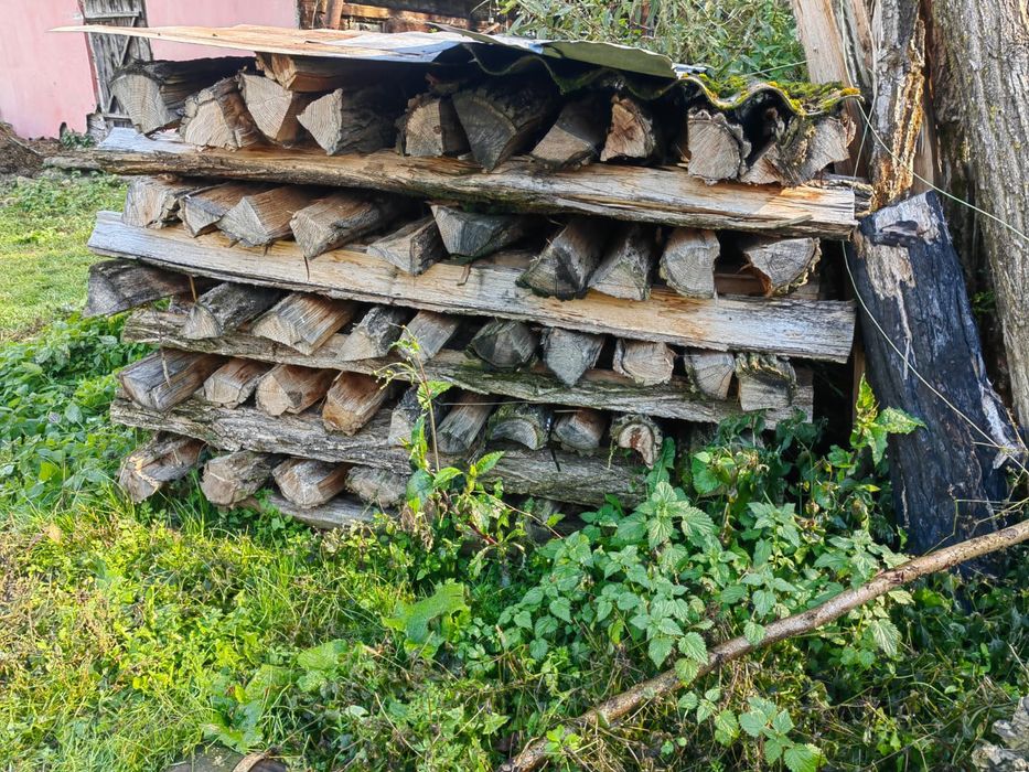 Stalpi îngradit gard salcam