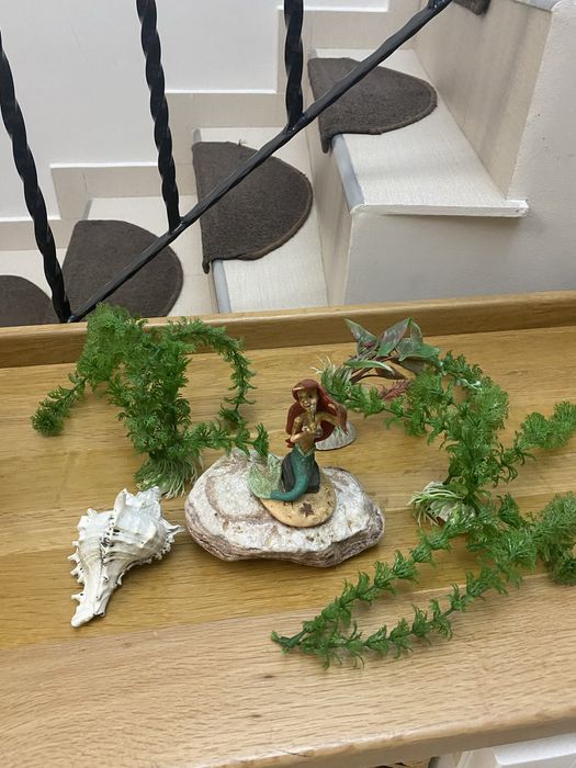 Accesorii acvariu pesti