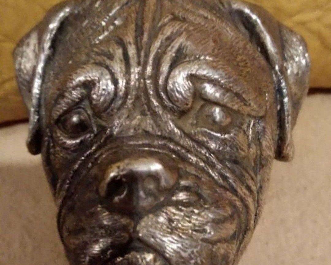 cap de câine placat cu foita din argint