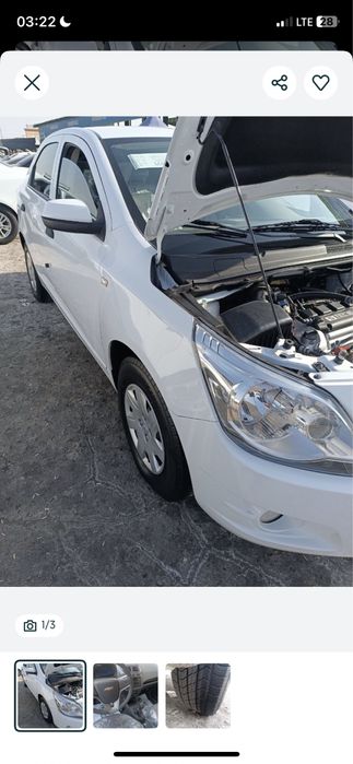 Kobilt 2022 yil 4 pazitsa aftamat