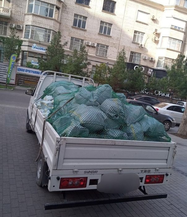Changan .labo musir мусир чанган лабо вывоз