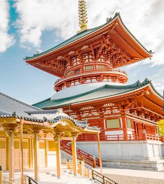 Excursie in Japonia