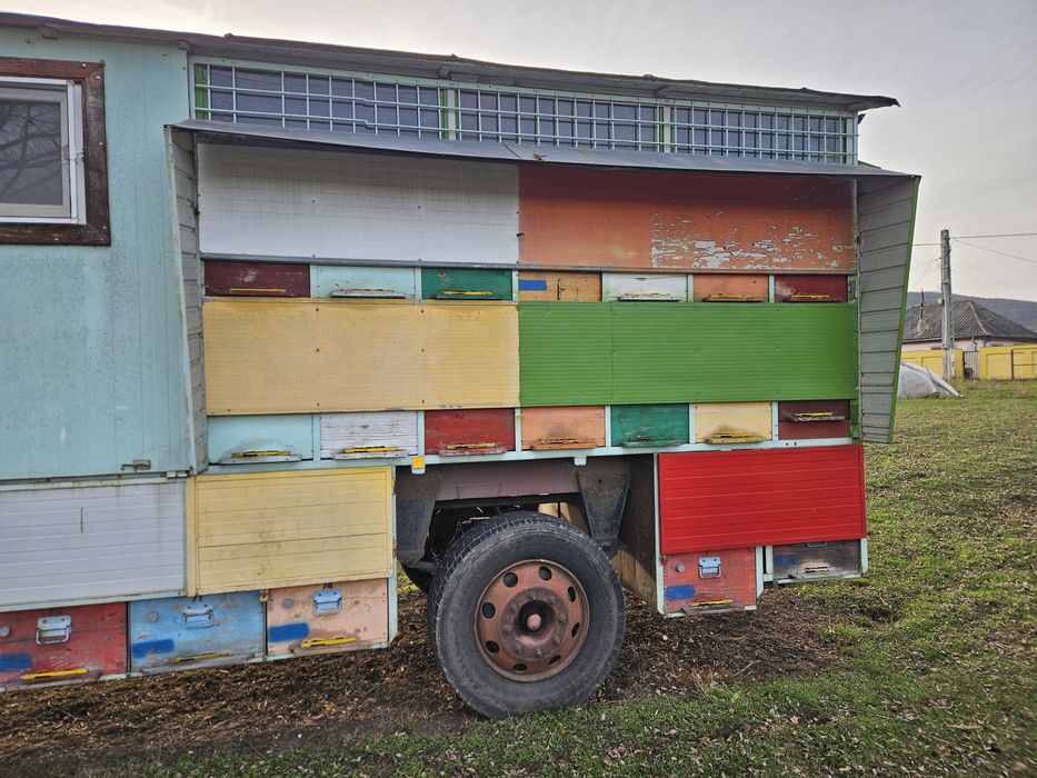 Vand pavilion apicol