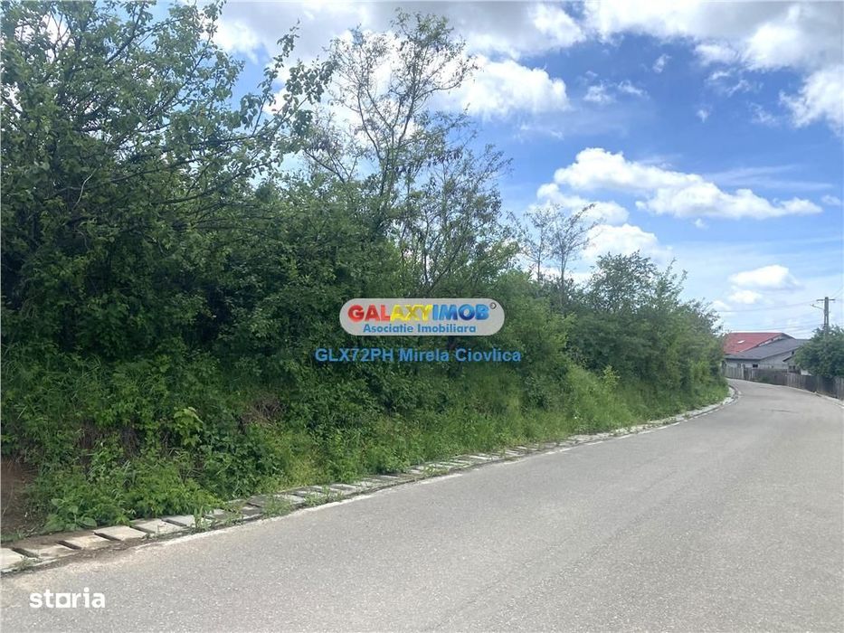 Vanzare teren intravilan Baicoi zona Tintea