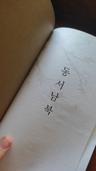 Книга Двойник Запада