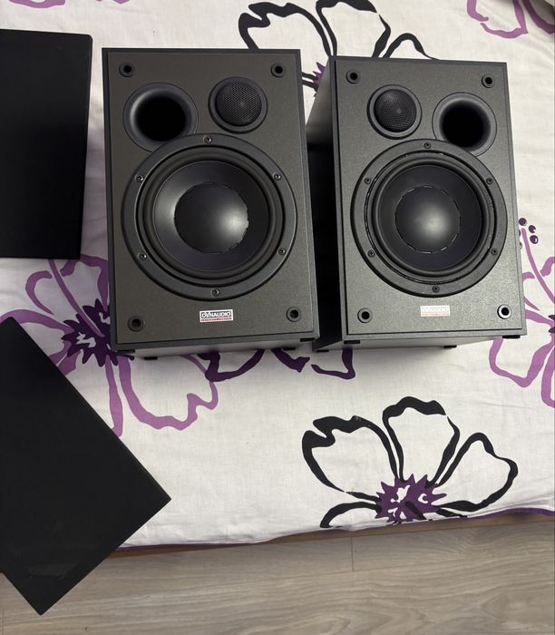 Boxe dinaudio audiance 5