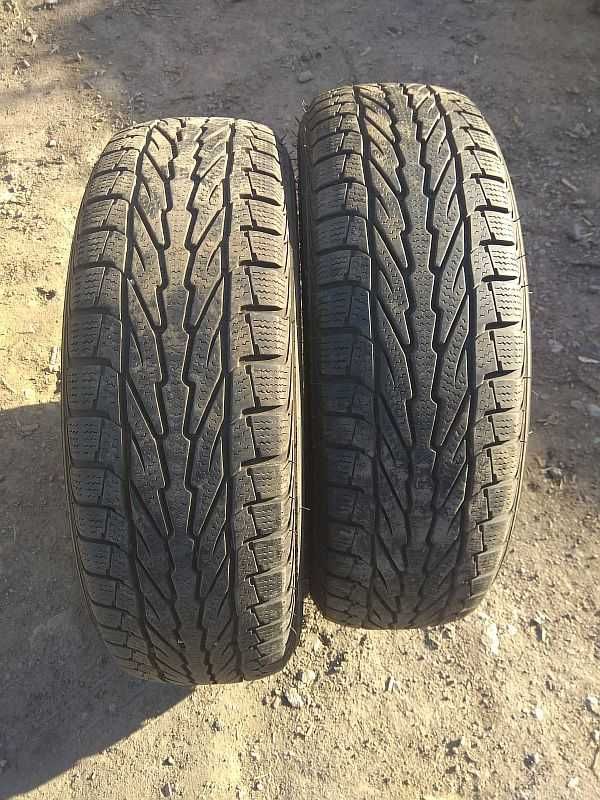 Шины 185/65 R15 - "Apollo Acelere Winter" (Индия), зимние.