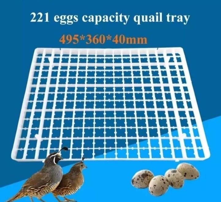 Бөдене жұмыртқасына