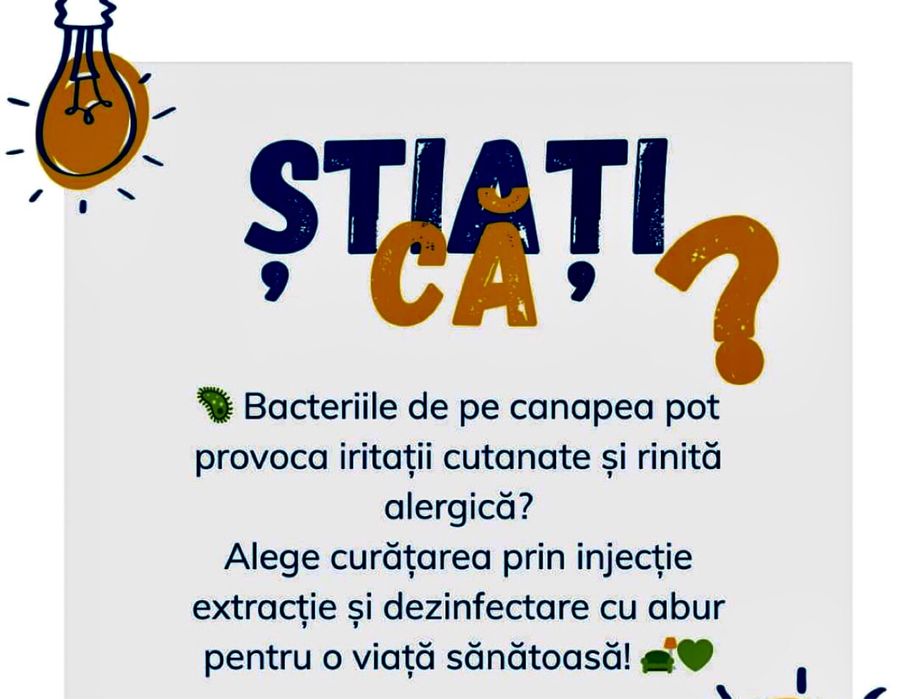 Spalare canapea ( TAPIȚERIE )