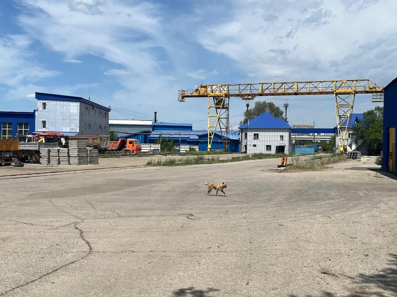 Сдам площадку под козловым краном