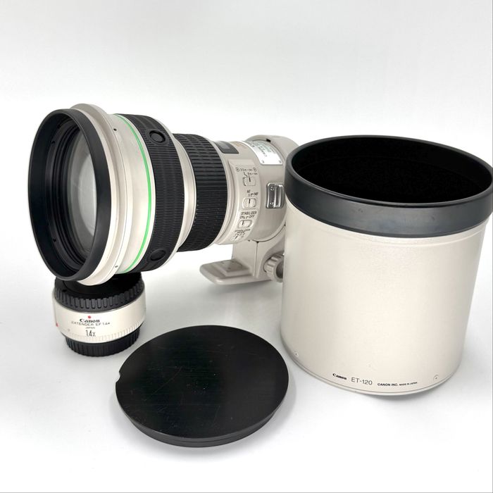 Canon EF 400mm f/4 DO IS USM + EF Extender 1.4x