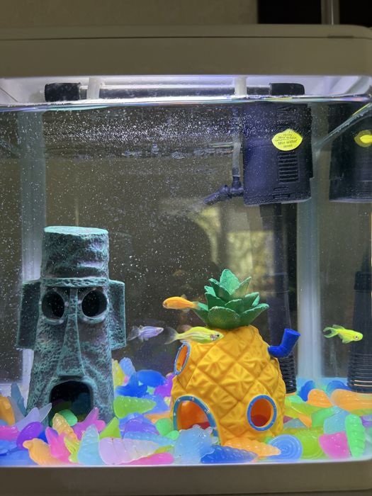 аквариум 10 литров (полный комплект)