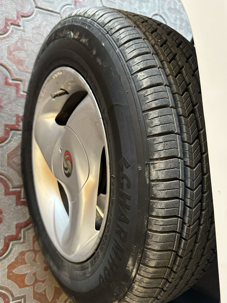 Damas oq 2023 yil