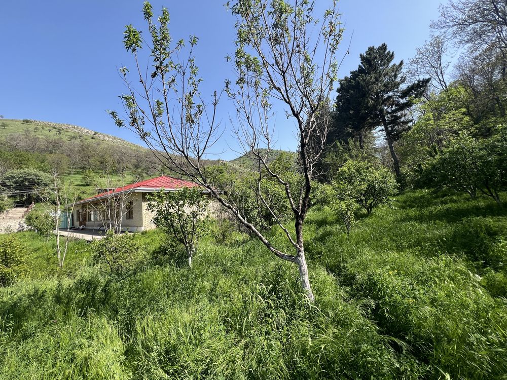 Dacha sotiladi..
