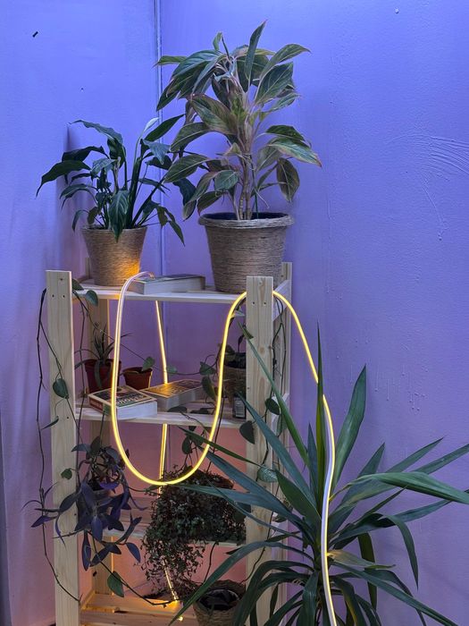 Продается хостел с стабильной загруженностью 80-85%