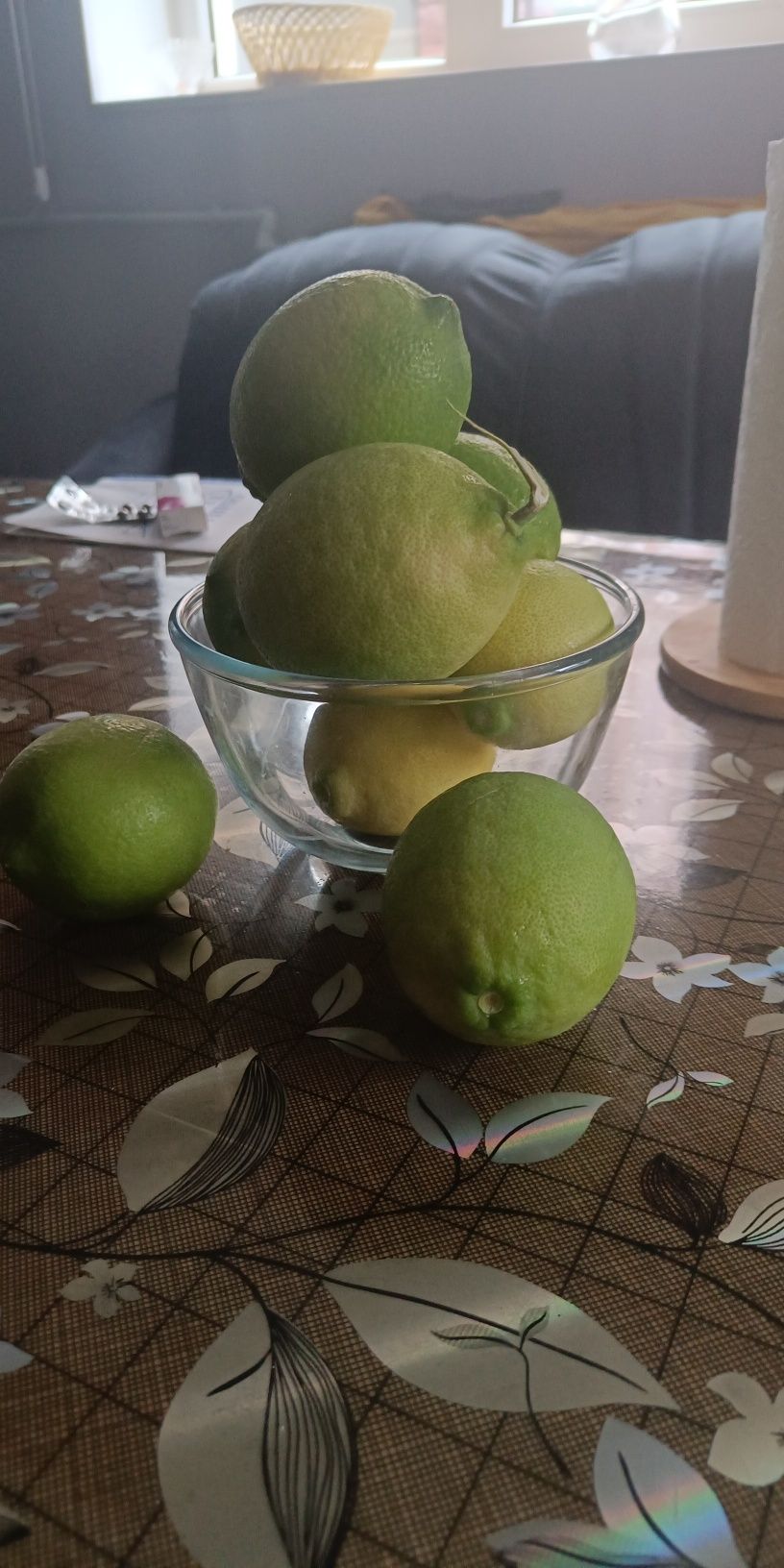Лимон с лимонами дерево и лавровый лист дерево