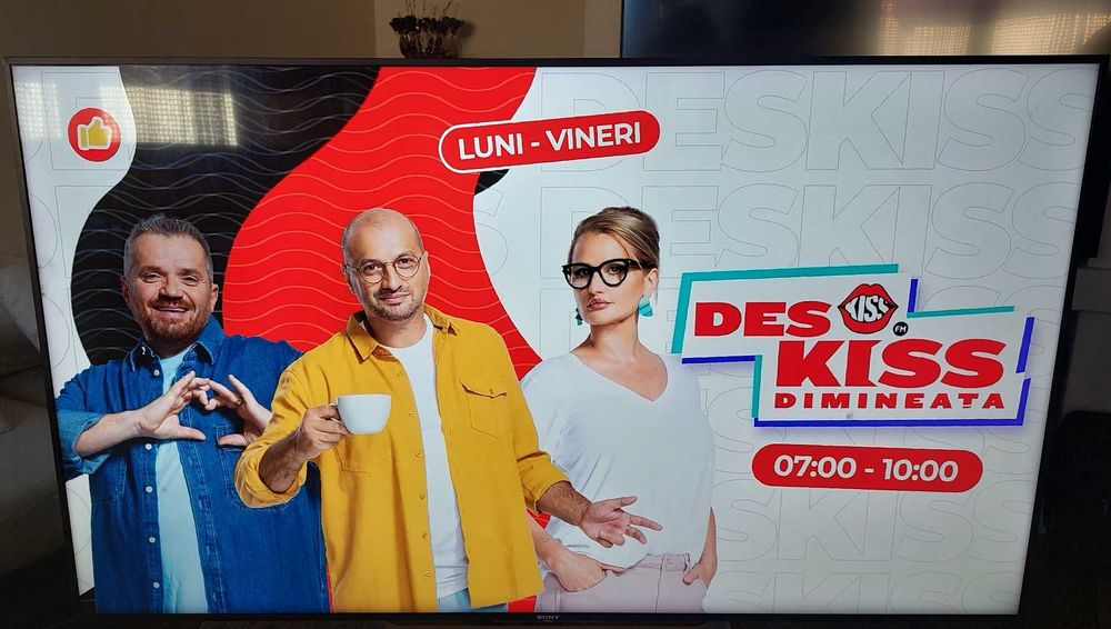 Ecran Display TV Sony 55xe9005, 4K, 140 cm varf de gama
