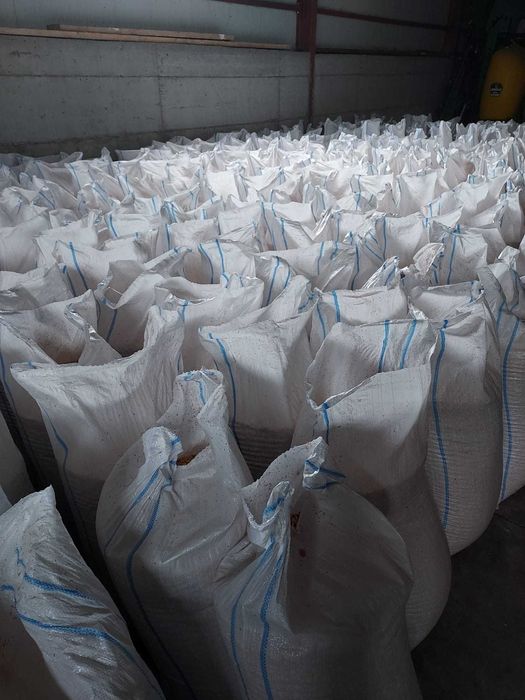 porumb 2025  1 leu  si grau panificatie 1.2 lei