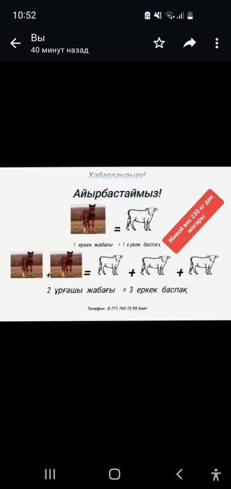 Еркек баспактарга жабагы айырбастаймыз