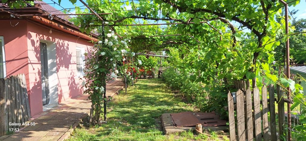 Casă de vanzare 107 mp, 2043 mp teren, Platonesti, judet Ialomița