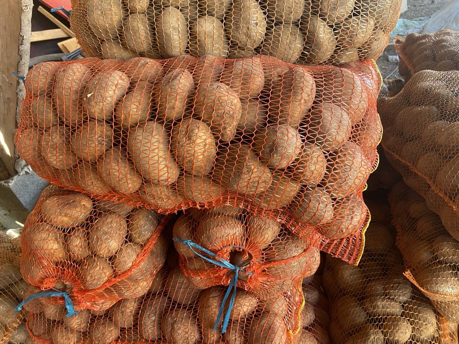 Vand cartof rosi si alb