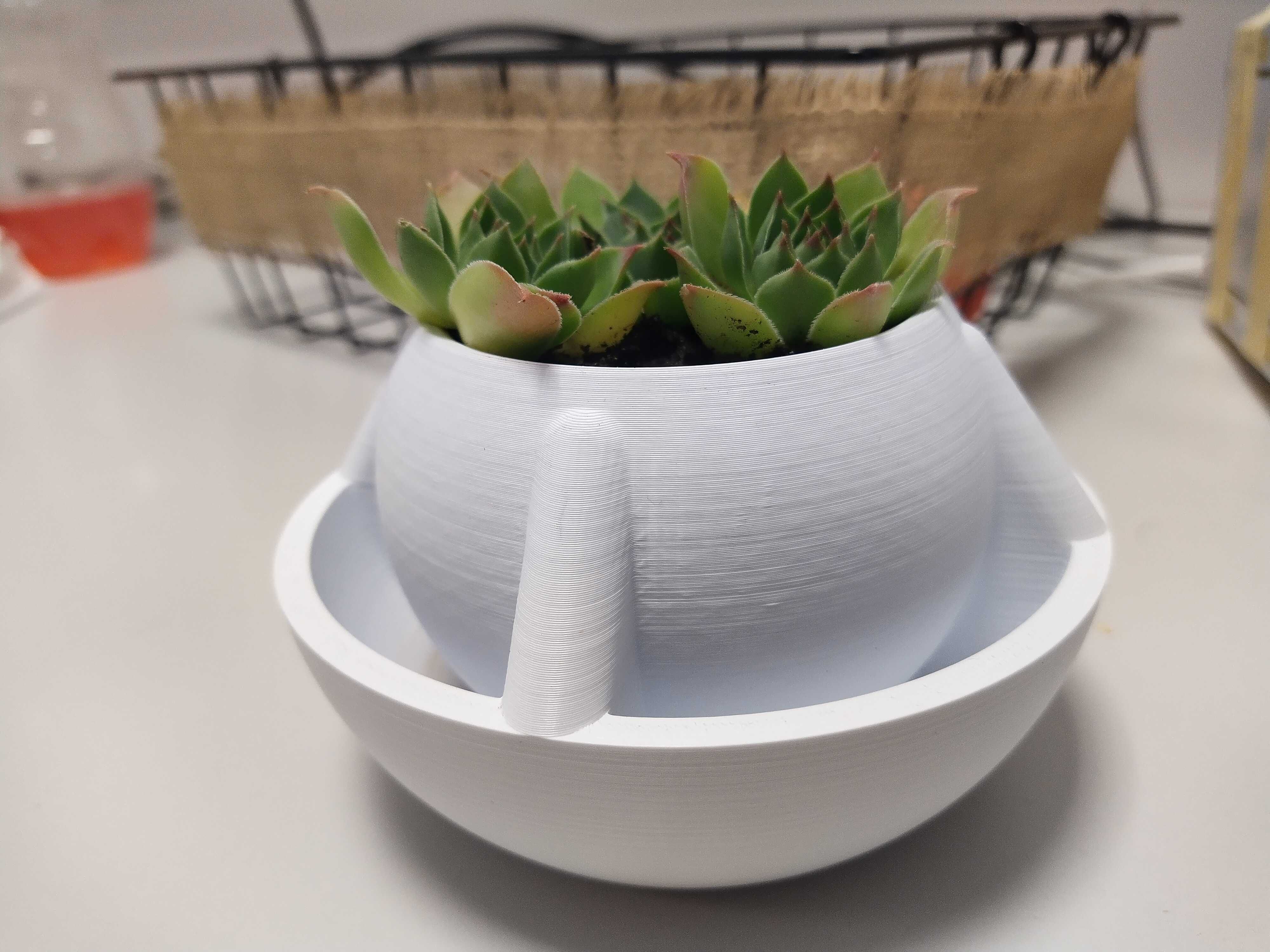 Ghiveci 3d planta suculenta selfwatering