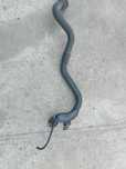 Furtun/Tub intercooler Renault Scenic 2/Megane 2 1.5 dci E3 82cp