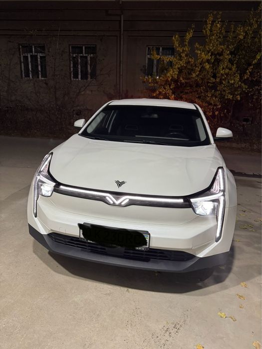 Hozon Neta U Pro 401