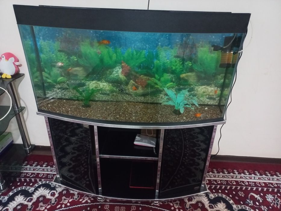 Аквариум с рыбками 9штук