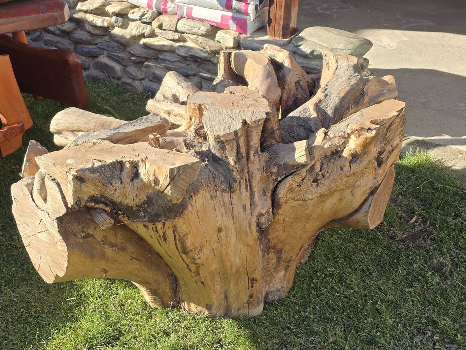 Vand radacina perfecta pt masa sau ca decoratiune