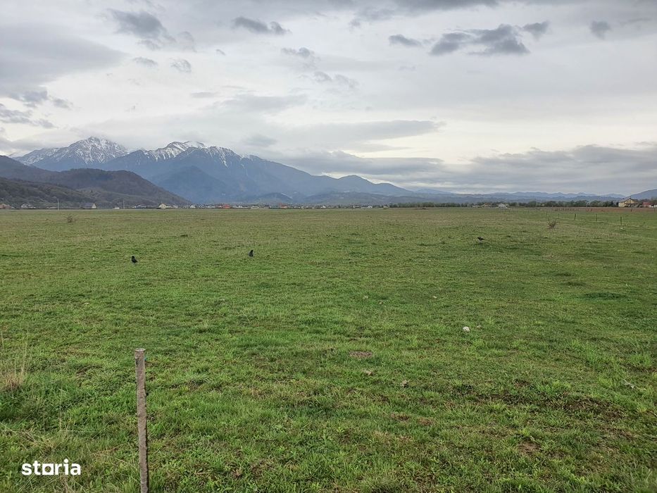 Teren Rasnov – Glajariei zona de case