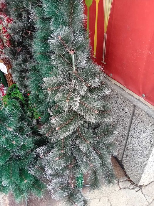 Коледна Елха Различни Размери