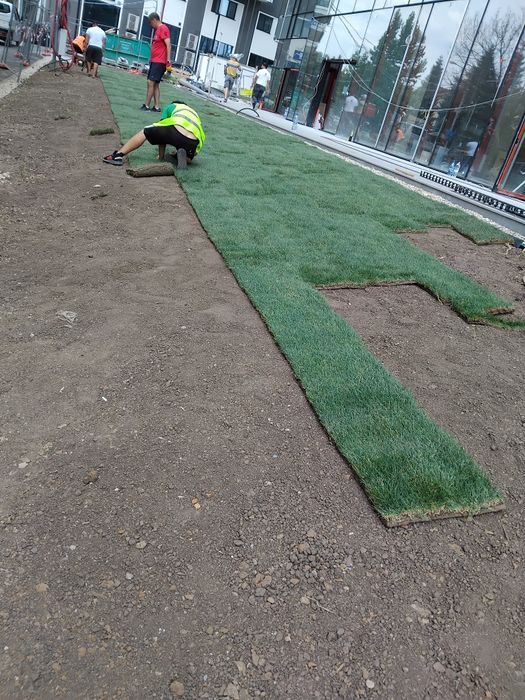 Gazon rulou sport 25 lei transportul și montaj