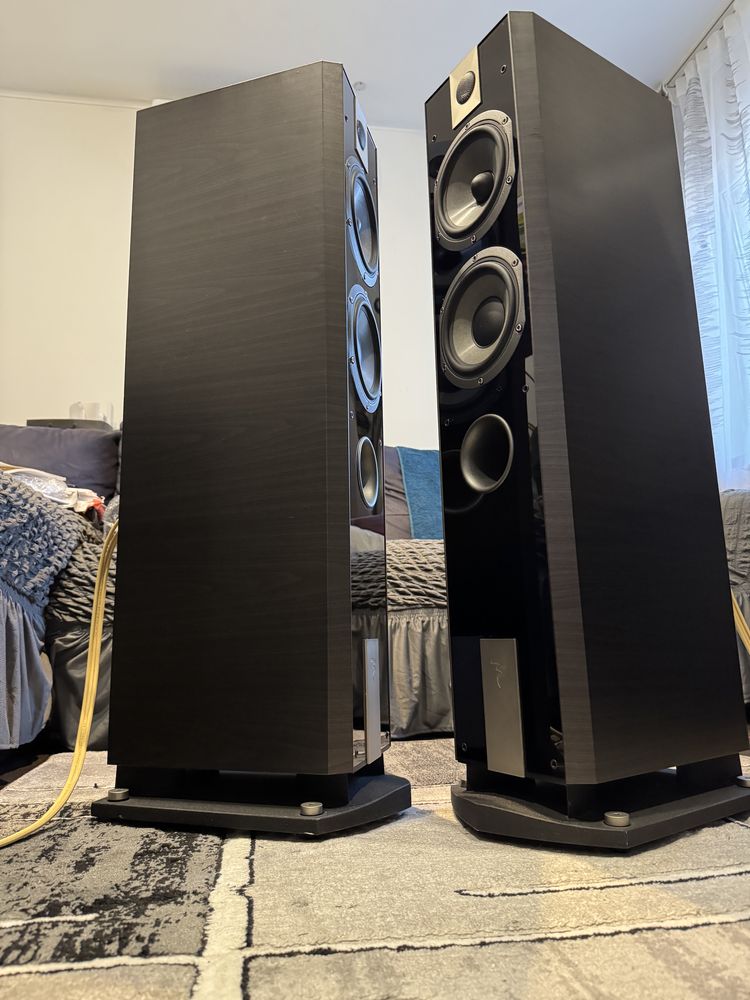 Boxe Focal Chorus 816 V/W,200W,45KG Perechea,2 Porturi Bas Reflex,