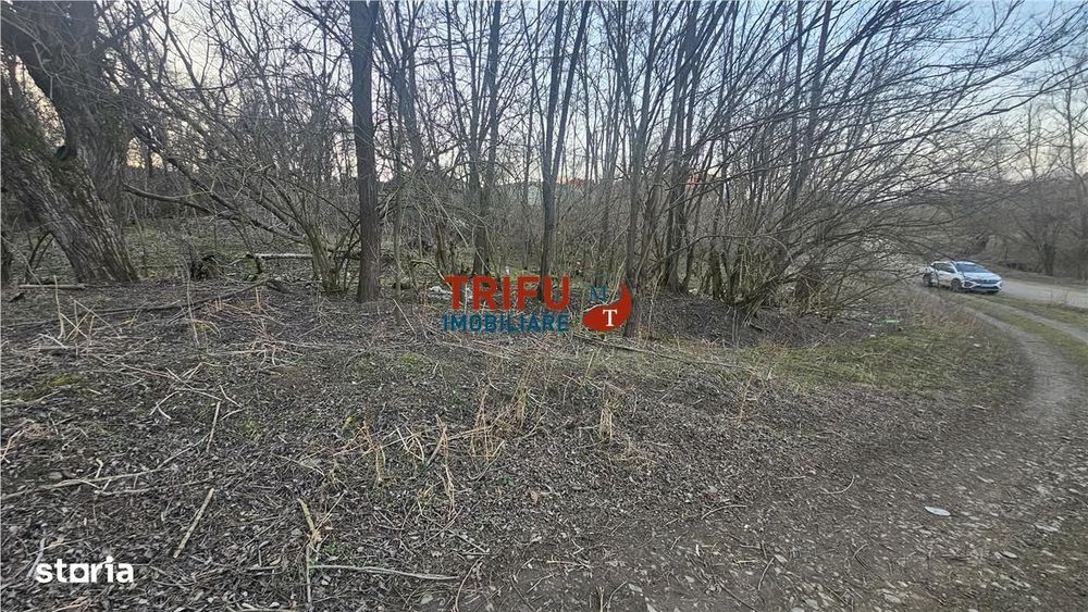 Teren Intravilan de Vânzare în Oarda