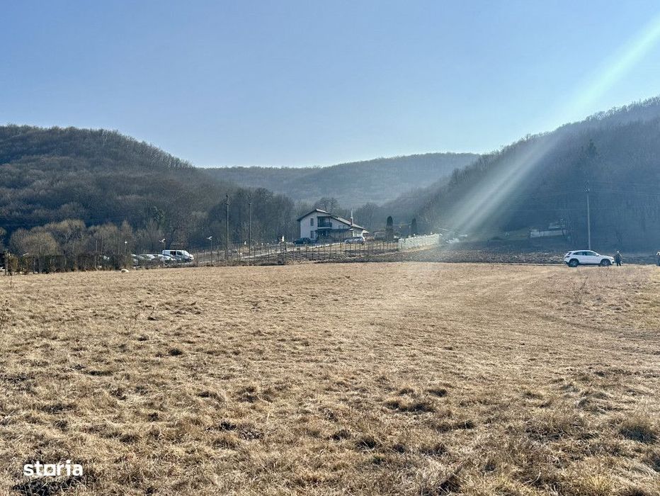 Vanzare teren intravilan, front 20 m, Capusu Mare, 1900 mp