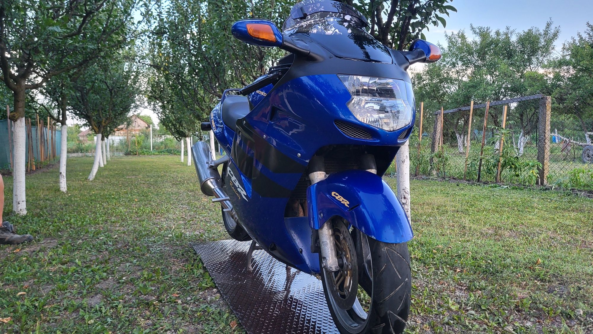 Honda  CBR 1100 XX