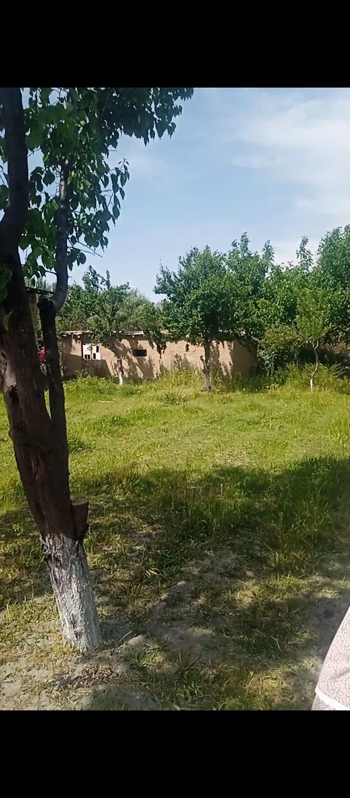 Uy sotiladi dala hovli