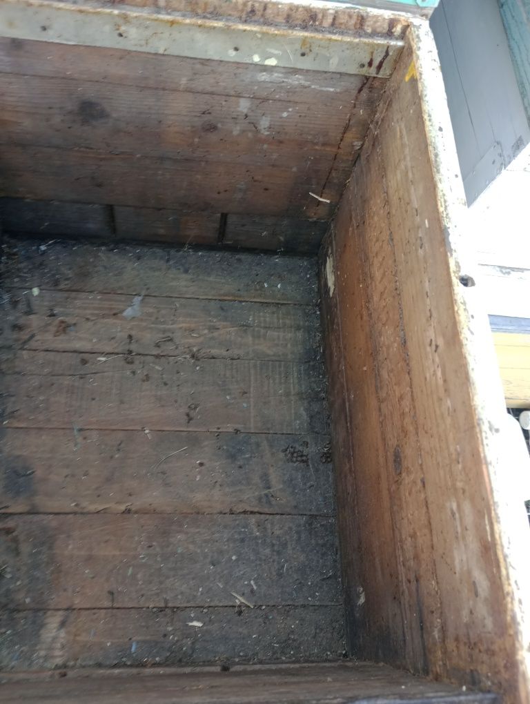 Vând urgent 20 stupi pe 10 rame cu cat