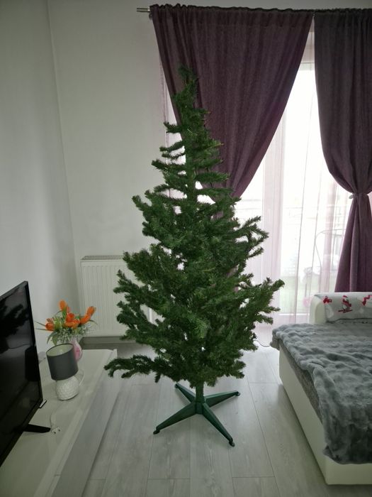 Brad de craciun de vanzare