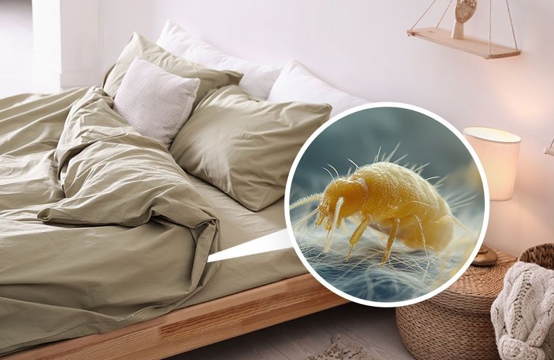 CURĂȚENIE, Deep cleaning. Fresh living.