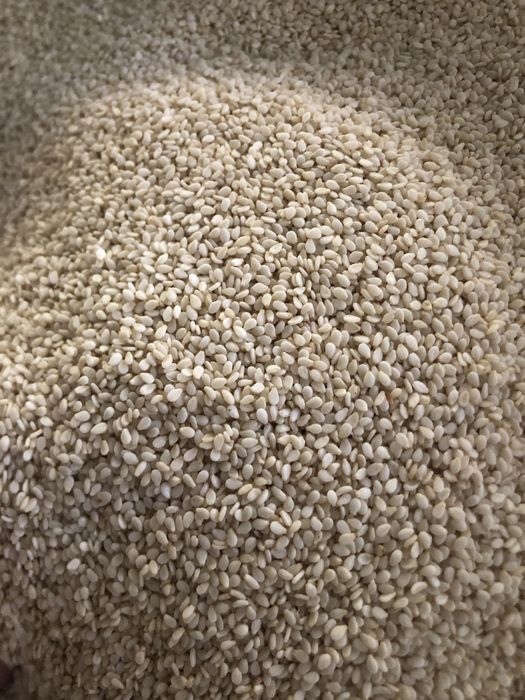 Kunjut sedana qora sedana yog’