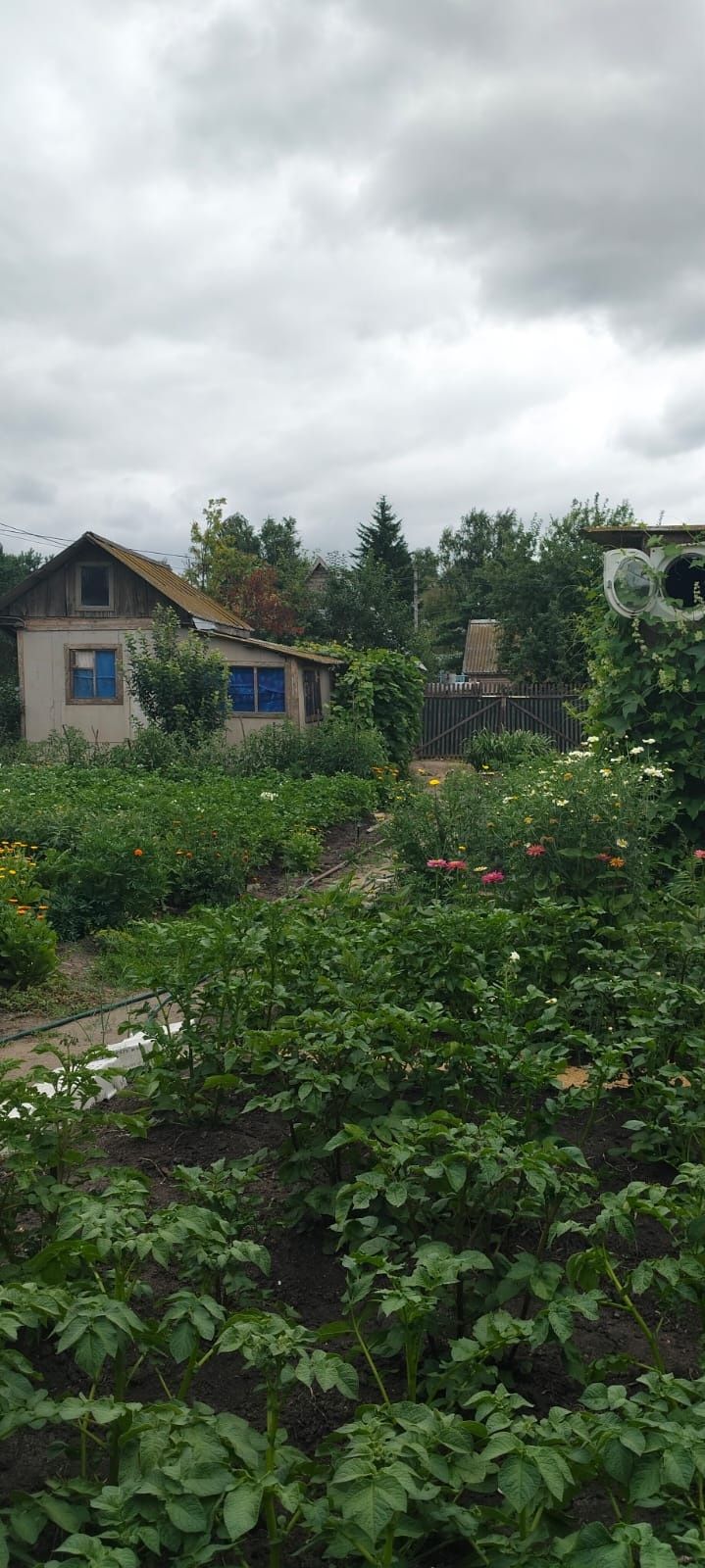 Продам дачу Новопавловка