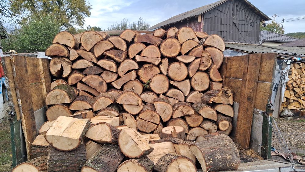 Stejar uscat sau verde